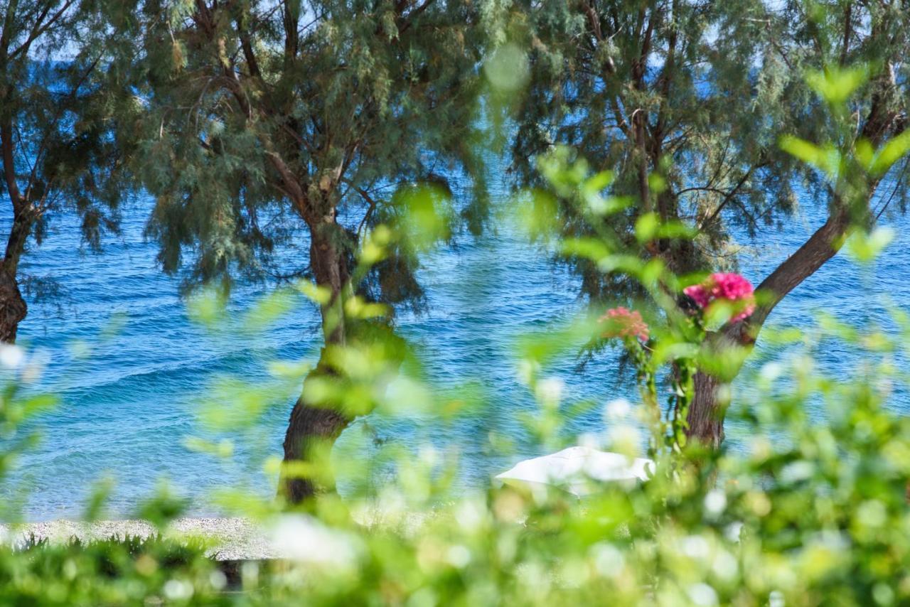 Aliki Studios Paralia Agias Foteinis Eksteriør billede